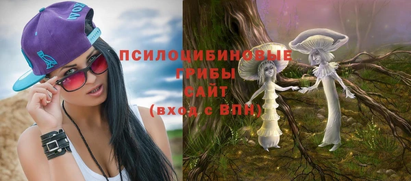 винт Чекалин