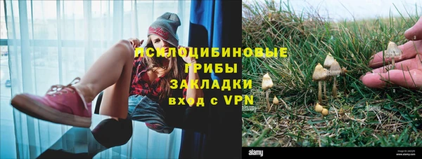 jwh Дмитриев