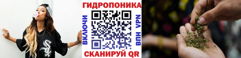 Бошки марихуана Bruce Banner  hydra вход  Салехард 